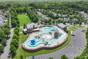 608 Beck St, Fort Mill, SC 29715 - Photo 48