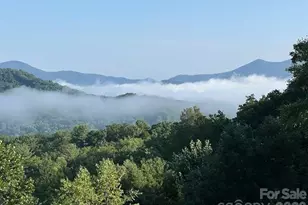 116 Dalya Rd, Swannanoa, NC 28778 - Photo 46