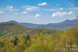 116 Dalya Rd, Swannanoa, NC 28778 - Photo 42