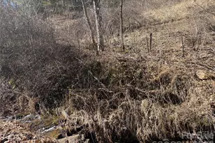 9999 Bee Log Rd, Burnsville, NC 28714 - Photo 16