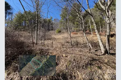 9999 Bee Log Road, Burnsville, NC 28714 - Photo 2