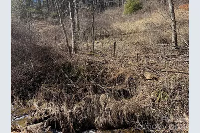 9999 Bee Log Road, Burnsville, NC 28714 - Photo 8