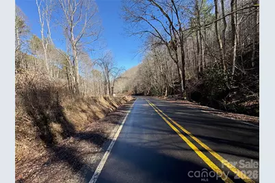 9999 Bee Log Road, Burnsville, NC 28714 - Photo 10