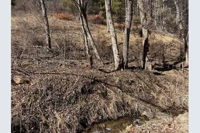 9999 Bee Log Road, Burnsville, NC 28714 - Photo 8