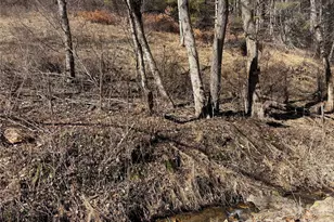 9999 Bee Log Rd, Burnsville, NC 28714 - Photo 8