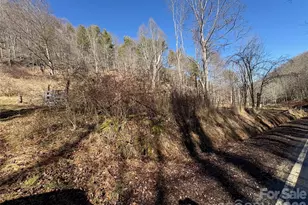 9999 Bee Log Rd, Burnsville, NC 28714 - Photo 10