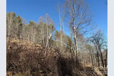 9999 Bee Log Road, Burnsville, NC 28714 - Photo 16