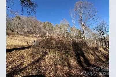 9999 Bee Log Road, Burnsville, NC 28714 - Photo 14