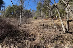 9999 Bee Log Rd, Burnsville, NC 28714 - Photo 6