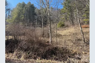 9999 Bee Log Road, Burnsville, NC 28714 - Photo 2