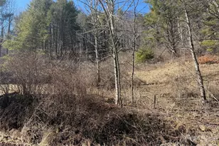 9999 Bee Log Rd, Burnsville, NC 28714 - Photo 2