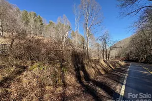 9999 Bee Log Rd, Burnsville, NC 28714 - Photo 12