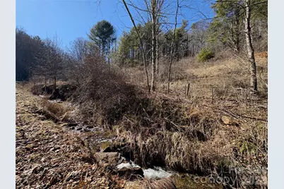 9999 Bee Log Road, Burnsville, NC 28714 - Photo 6