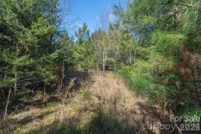 00 Cemetery Road #1 & 2, Fort Lawn, SC 29714 - Photo 12
