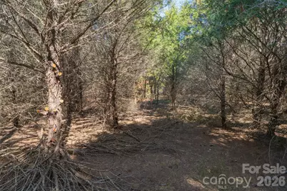 00 Cemetery Road #1 & 2, Fort Lawn, SC 29714 - Photo 22