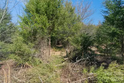 00 Cemetery Road #1 & 2, Fort Lawn, SC 29714 - Photo 8