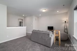 5207 Piedmont Run Rd, Mount Holly, NC 28120 - Photo 26