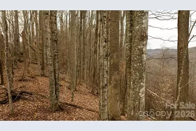0000 Devils Knob Road, Mars Hill, NC 28754 - Photo 4
