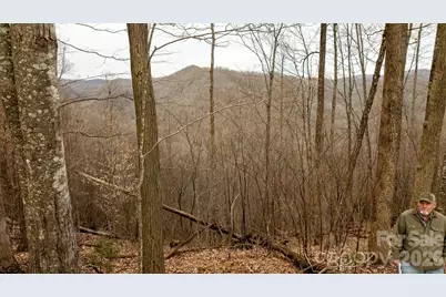 0000 Devils Knob Road, Mars Hill, NC 28754 - Photo 6