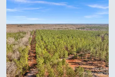 000 Peacehaven Road #1, McConnells, SC 29726 - Photo 12