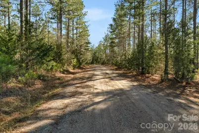 000 Peacehaven Road #1, McConnells, SC 29726 - Photo 16