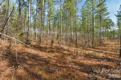 000 Peacehaven Road #1, McConnells, SC 29726 - Photo 14