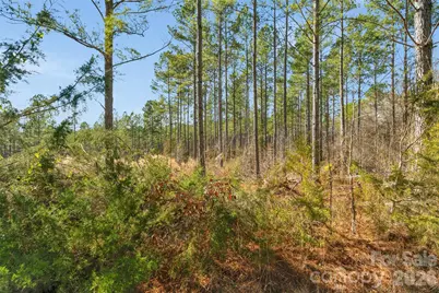 000 Peacehaven Road #1, McConnells, SC 29726 - Photo 10