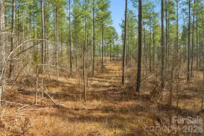 000 Peacehaven Road #1, McConnells, SC 29726 - Photo 20