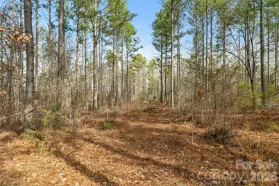 000 Peacehaven Road #1, McConnells, SC 29726 - Photo 28