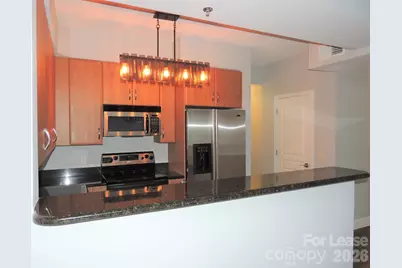 1320 Fillmore Avenue #405, Charlotte, NC 28203 - Photo 8