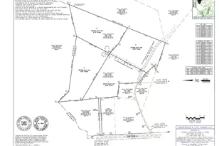 0 Lintel Rd, Van Wyck, SC 29720 - Photo 4