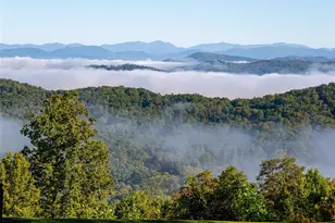 58 Carriage Highlands Ct, Hendersonville, NC 28791 - Photo 40