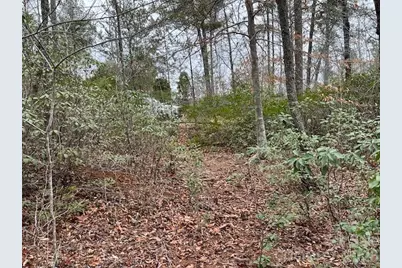 Tbd Quiet Creek Lane #16, Collettsville, NC 28611 - Photo 8