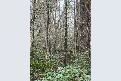 Tbd Quiet Creek Lane #16, Collettsville, NC 28611 - Photo 10