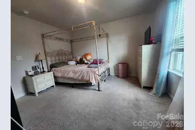 16819 Cozy Cove Road, Charlotte, NC 28278 - Photo 18