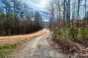 3645 Blue Door School Rd, Lenoir, NC 28645 - Photo 12