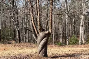 3645 Blue Door School Rd, Lenoir, NC 28645 - Photo 20