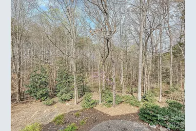 15008 Fanning Manor Court, Charlotte, NC 28277 - Photo 10