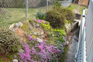 342 Mountain View Rd, Burnsville, NC 28714 - Photo 46