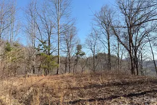 00 Brush Creek Rd, Bryson City, NC 28713 - Photo 4