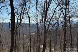 00 Brush Creek Rd, Bryson City, NC 28713 - Photo 12