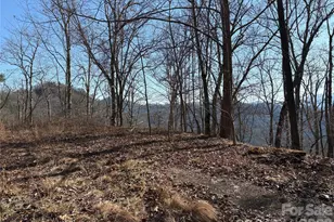 00 Brush Creek Rd, Bryson City, NC 28713 - Photo 16