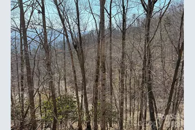 00 Brush Creek Road #37, Bryson City, NC 28713 - Photo 14