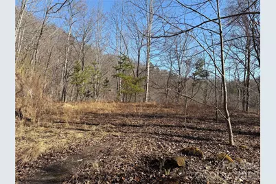 00 Brush Creek Road #37, Bryson City, NC 28713 - Photo 2