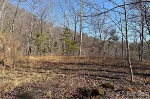 00 Brush Creek Rd, Bryson City, NC 28713 - Photo 2