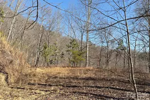 00 Brush Creek Rd, Bryson City, NC 28713 - Photo 6