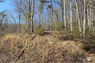 00 Brush Creek Rd, Bryson City, NC 28713 - Photo 8