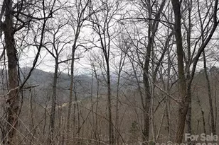 00 Brush Creek Rd, Bryson City, NC 28713 - Photo 20