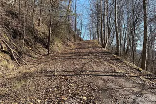 00 Brush Creek Rd, Bryson City, NC 28713 - Photo 14