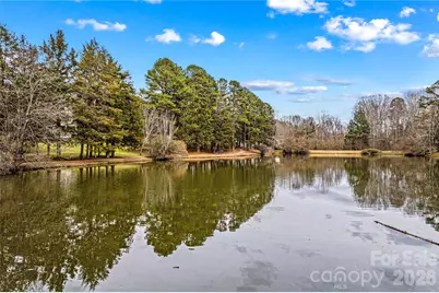 131 Morrison Hill Road, Davidson, NC 28036 - Photo 46